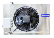 -  Belluna iP-2